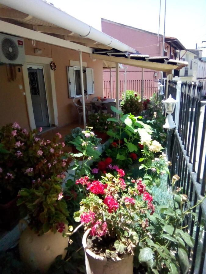 Villa Angela, Traditional Villa In The Village Agios Ioannis Peristeron  ภายนอก รูปภาพ
